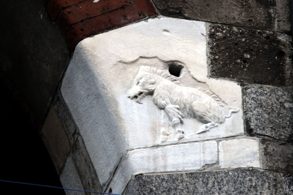 Das Wildschwein mit der halben Wolle am Palazzo della Ragione 
