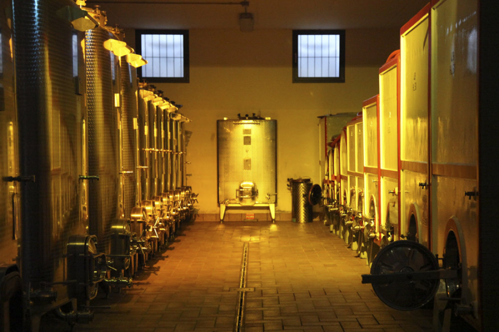 Weinkeller mit Stahltanks und Zementfässeren