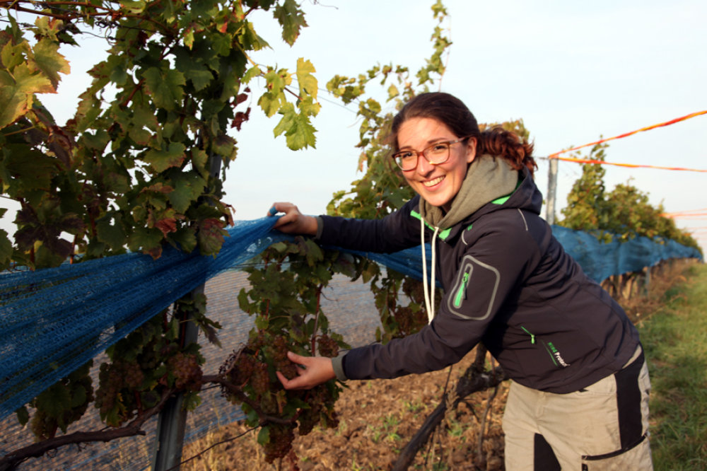 Anna Faber ist nach ihrem Studium voll im Weingut eingesetzt