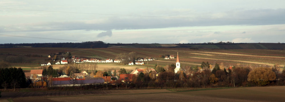 Blick auf Kleinhadersdorf vom Weingut Rieder