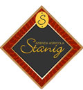 Stanig logo