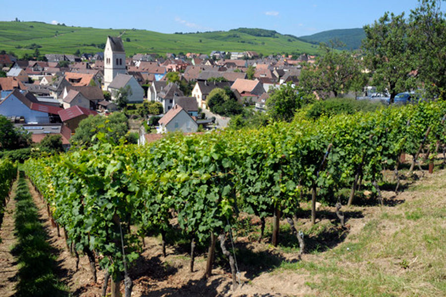 Weinort Mittelwihr im Elsass © J. P. Mauler
