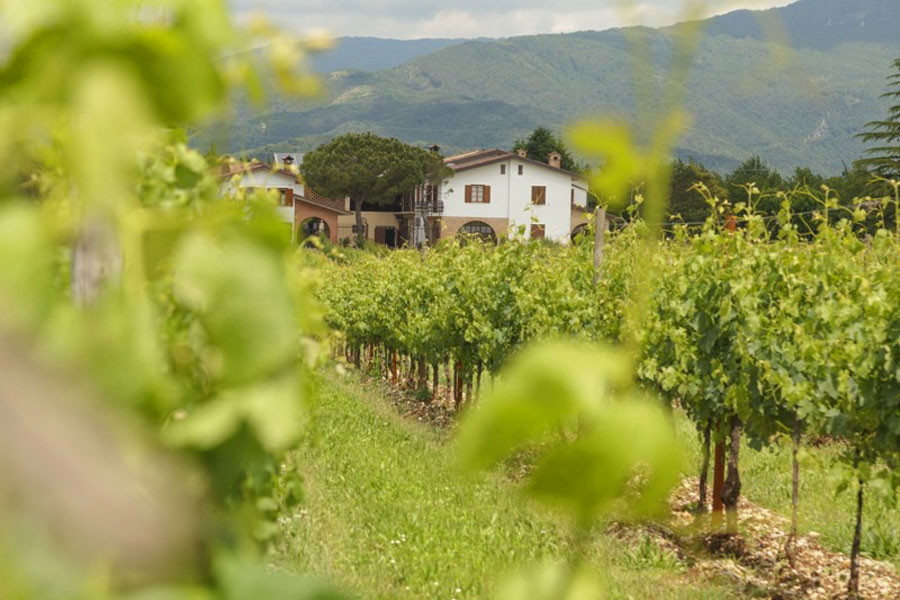 Das Weingut © Venchiarezza in den Colli Orientali