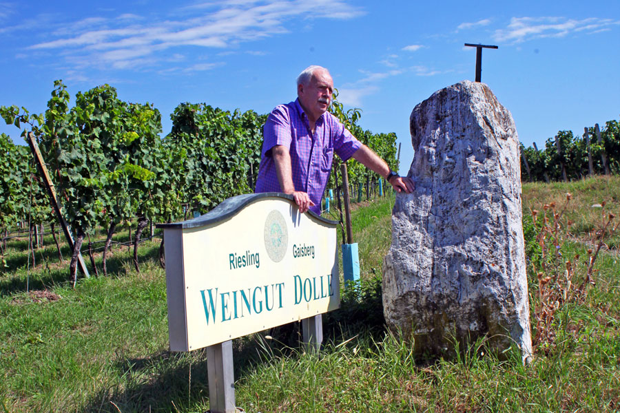 Peter Dolle in seinen Weingärten im Straßertale Peter Dolle in seinen Weingärten im Straßertale