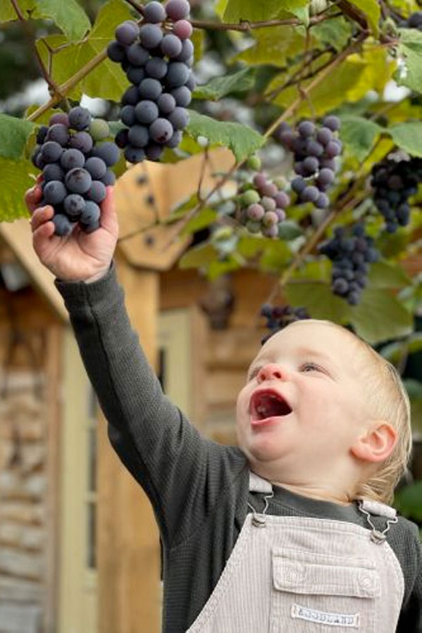 Weinbau, Freude für Generationen © Podere Gagliassi