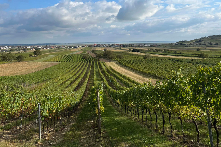 Blick vom Leithaberg auf Jois © agerlhof